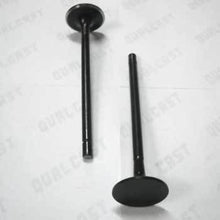 Load image into Gallery viewer, Ford 6.4L Powerstroke Black Lightning Diesel Performance Valves